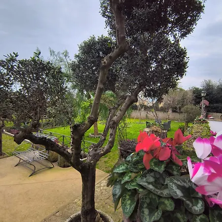 Parco Azzurro - Il Tuo Angolo Di Tranquillita' Ai Castelli Romani *